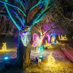 Christmas Garden in Karlsruhe