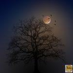 Halloween Horror Show Durmersheim