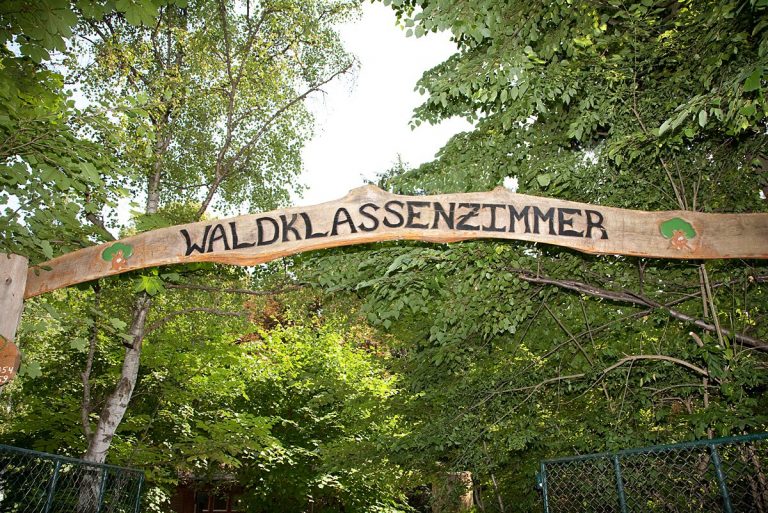Jahresprogramm Waldpädagogik Karlsruhe