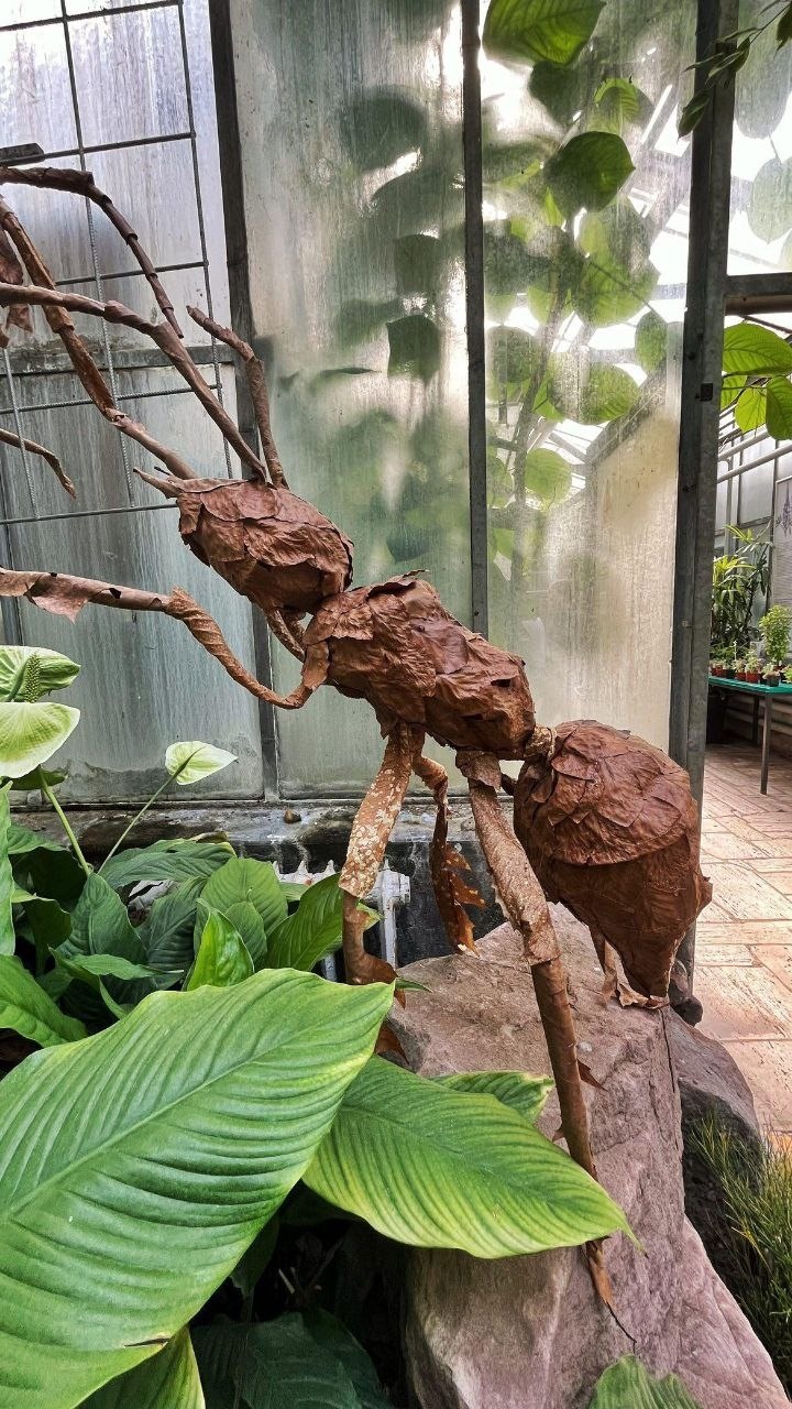 Ausstellung „Tauche in die Blätterwelt ein“ im botanischen Garten am KIT