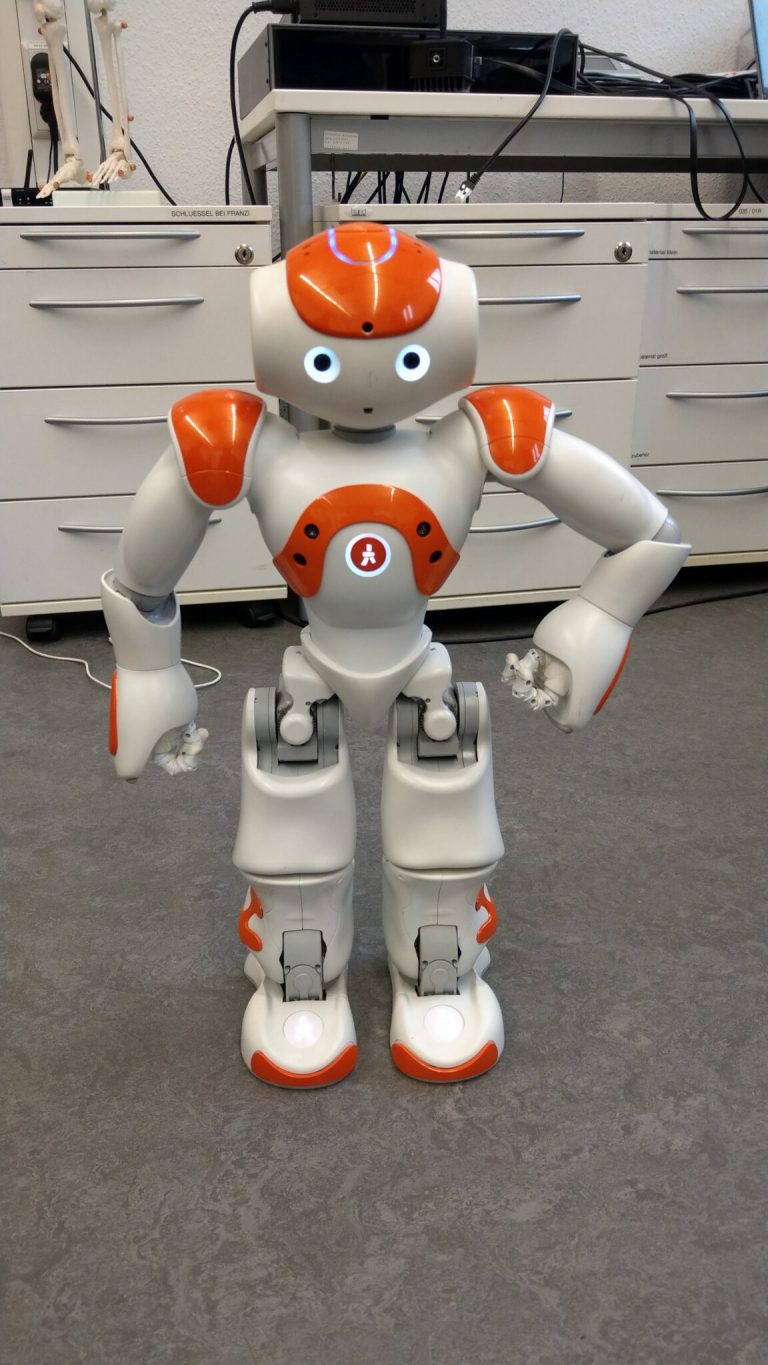Robotik-Workshop mit dem Roboter NAO