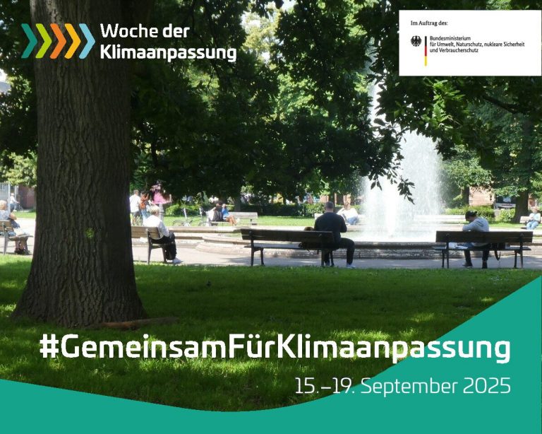 Woche der Klimaanpassung: Führungen, Waldspaziergang und Radtour