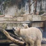 lebendige Herbsttage im Zoo Karlsruhe