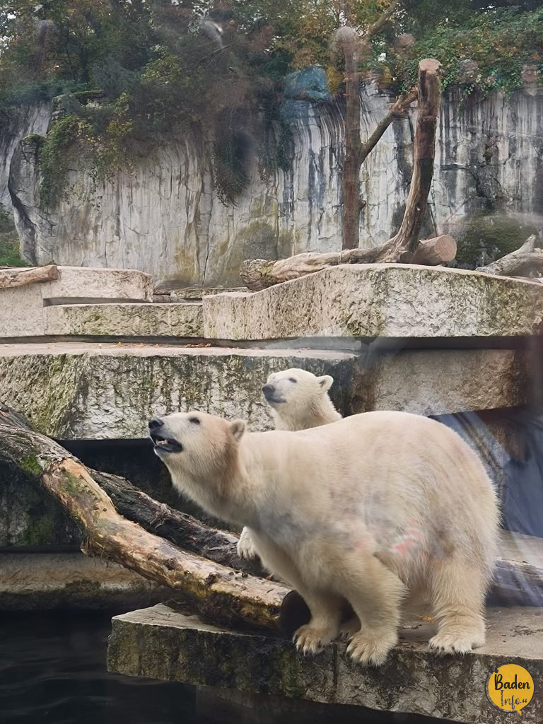 lebendige Herbsttage im Zoo Karlsruhe