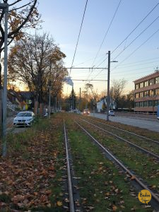 Linie 3 rollt wieder durch Daxlanden