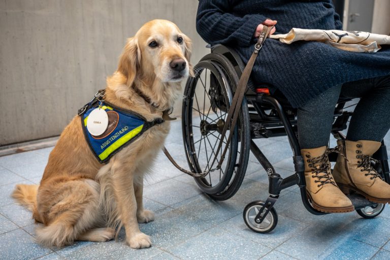 Karlsruhe barrierefrei: Neue Entwicklungen und geplante Erweiterungen der Web-App