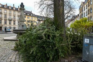 Sammelplätze für Christbäume