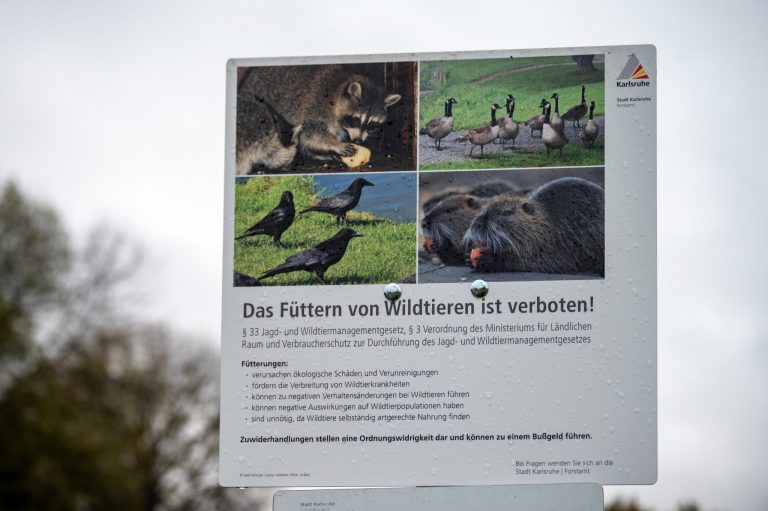 Das Füttern von Wildtieren ist verboten