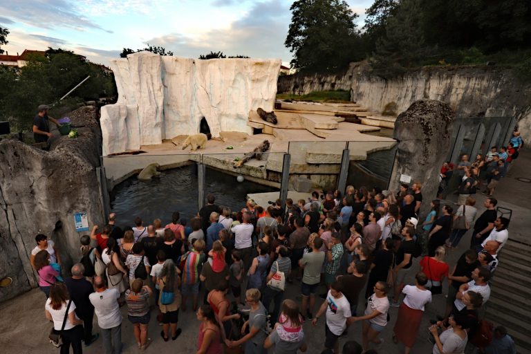 Karlsruher Nacht-Zoo lädt zu besonderen Sommerabenden ein