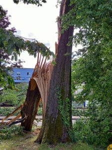 Nach dem Unwetter: Schäden in Karlsruhe und weitere Warnungen
