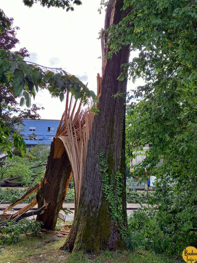 Nach dem Unwetter: Schäden in Karlsruhe und weitere Warnungen
