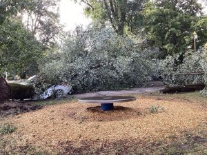 Unwetterfolgen: Gartenbauamt warnt vor Gefahren durch beschädigte Bäume
