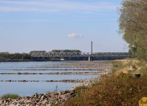 Für eine saubere Umwelt: gemeinsame Putzaktion in den Rheinauen