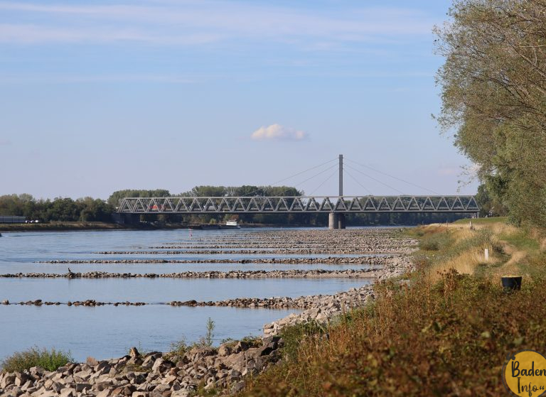 Für eine saubere Umwelt: gemeinsame Putzaktion in den Rheinauen