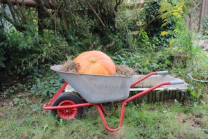Tag der offenen Tür im Sozialen Garten der Arbeitsförderung