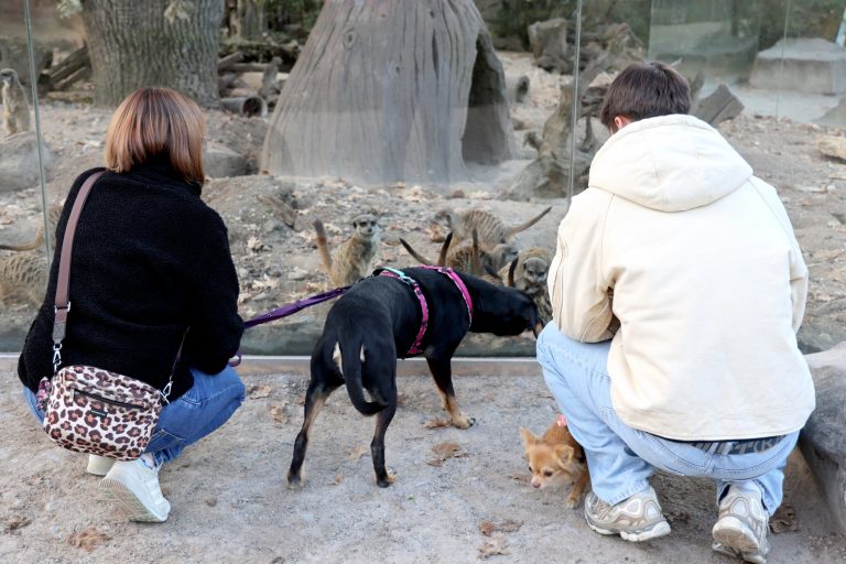 Mit dem Vierbeiner in den Zoo